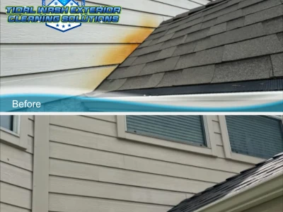 Siding Stain Removal Near Roofline | Tidal Wash