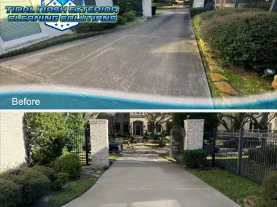 Residential Driveway Soft Wash | March 25 Project