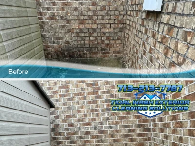 Removing Mold and Algae with Soft Wash – Richmond Residential Cleaning
