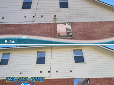 Mold Removal from Siding with Soft Wash