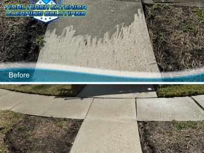 Concrete Algae Cleaning for Safer Surfaces