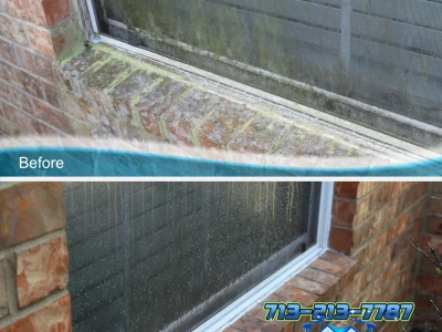 Clarity Restored – League City Window Shine Experts