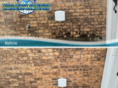Brick Algae & Mold Removal in Pearland, TX | Tidal Wash