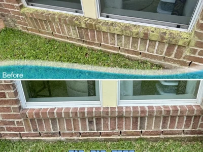 Pearland Window Cleaning Service | April 2025 Exterior Refresh