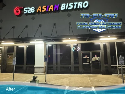 Friendswood TX concrete cleaned with algae and mildew removed from storefront walkway