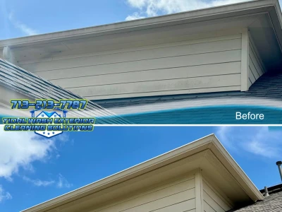 Close-up of clean siding after softwash treatment in League City home