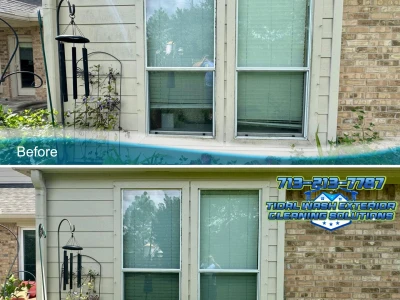 Exterior siding and windows cleaned during house wash in Westover Park