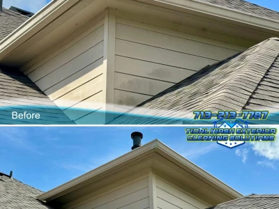 House siding cleaned with softwash system showing dramatic improvement