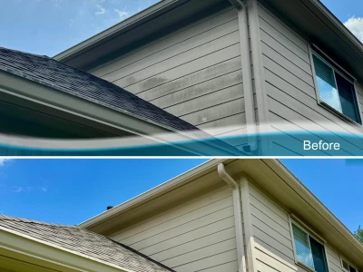 Mold and mildew removed from vinyl siding in League City home’s exterior