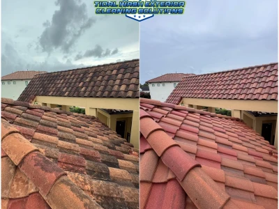 Side-by-side image of roof restoration using softwash for Constellation Pointe HOA