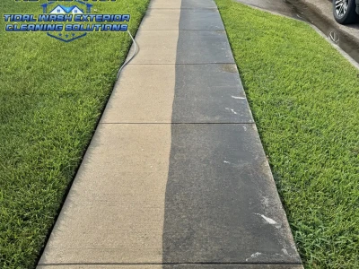 Half-cleaned concrete sidewalk photo showing organic growth removal in Pearland TX
