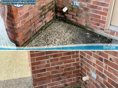 Close-up of pool concrete, brick wall, and slab cleaned before and after in Village Grove East