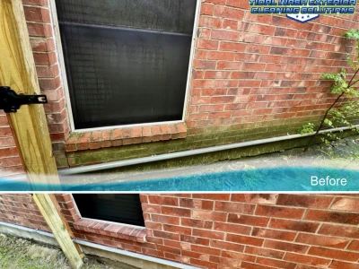 Brick wall, concrete slab, and solar screen cleaned side-by-side comparison in Village Grove East